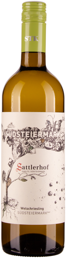 Welschriesling Südsteiermark DAC bio 2021