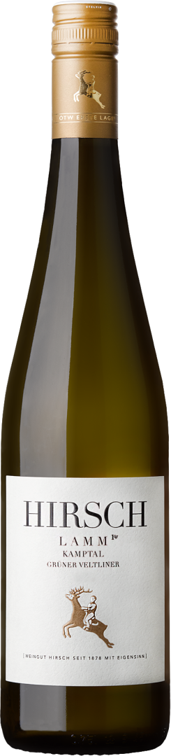 Grüner Veltliner Ried Lamm 1ÖTW Kamptal DAC bio 2019