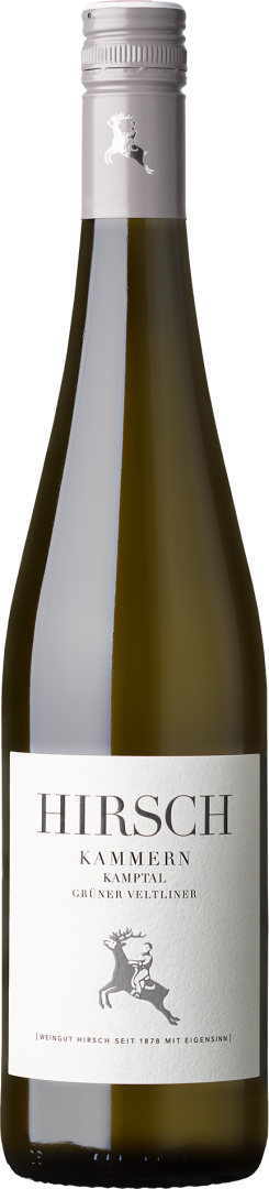 Grüner Veltliner Kammern Kamptal DAC bio 2020