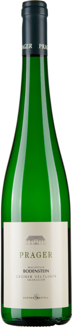 Grüner Veltliner Smaragd Wachstum Bodenstein 2022