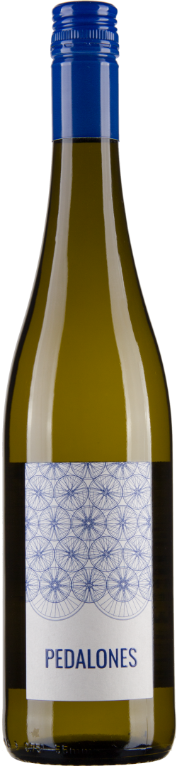 Riesling Nußberg Ried Obere Schoss 2020