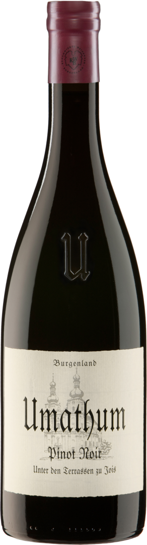 Pinot Noir Unter den Terrassen 2022