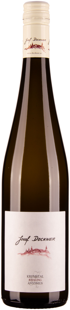 Riesling Antonius Kremstal DAC 2024