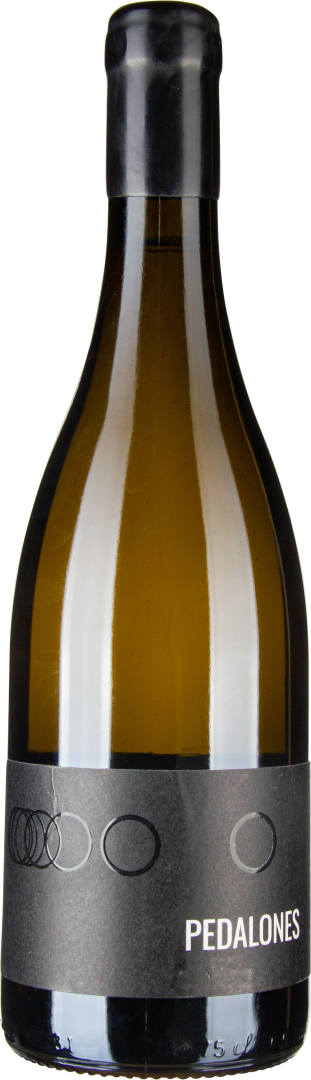 Sémillon 2019