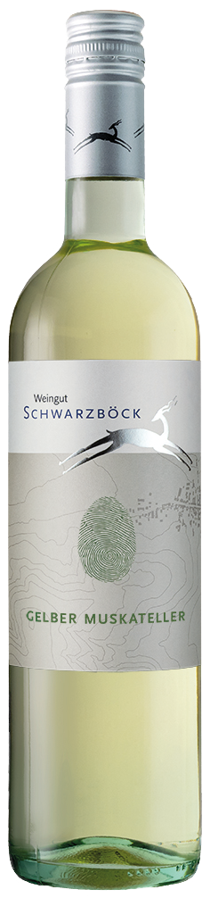 Gelber Muskateller bio 2024