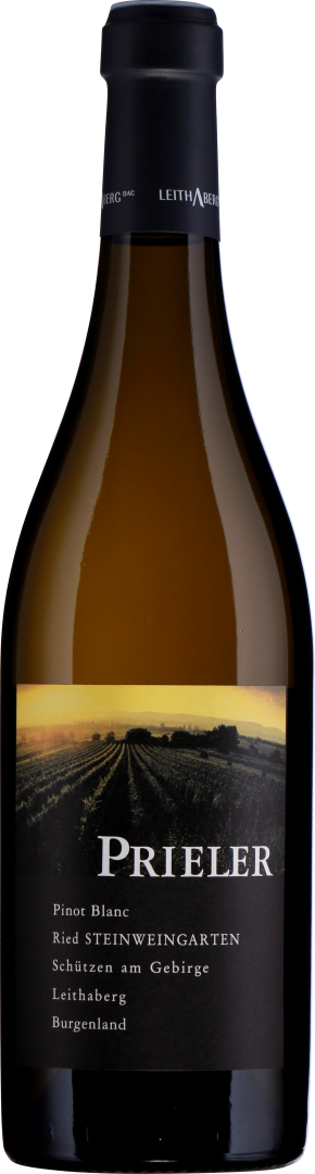 Pinot Blanc Ried Steinweingarten bio 2023