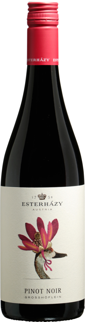 Pinot Noir Großhöflein 2023