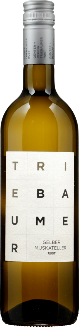Gelber Muskateller 2024