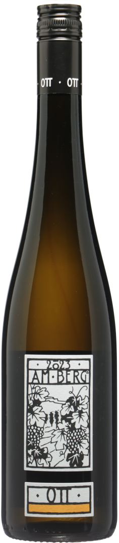 Grüner Veltliner am Berg bio 2024