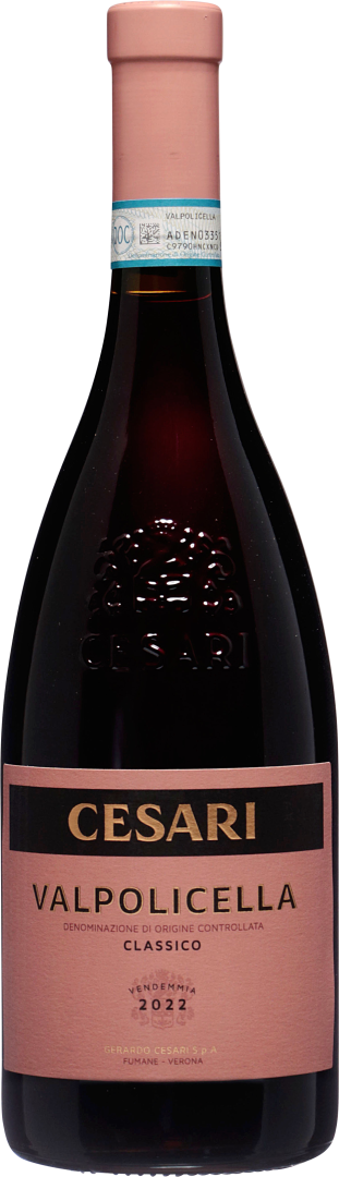 Valpolicella Classico 2022