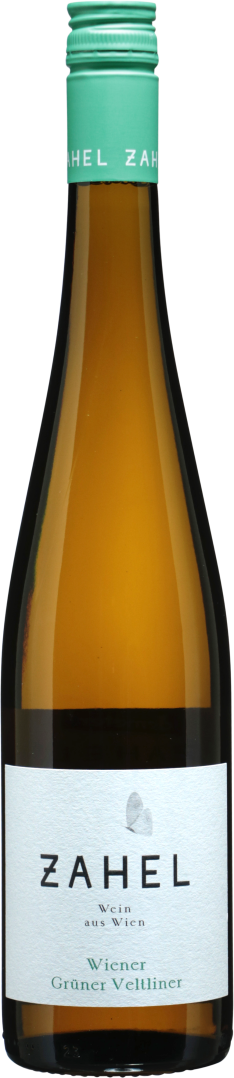 Grüner Veltliner Wiener bio 2024