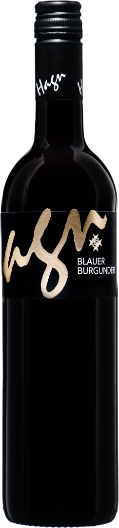 Blauburgunder 2023