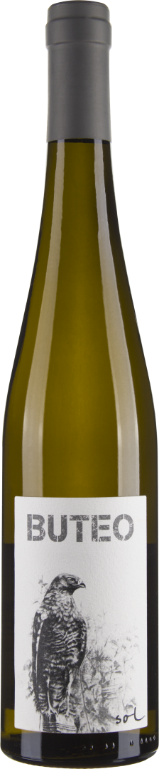 Grüner Veltliner Buteo bio 2017