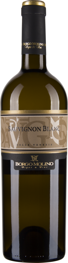 Sauvignon Blanc DOC 2017