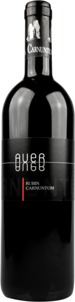 Zweigelt Rubin Carnuntum 2024