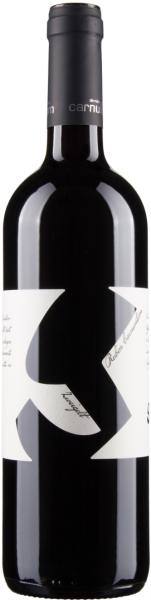 Zweigelt Rubin Carnuntum bio 2022